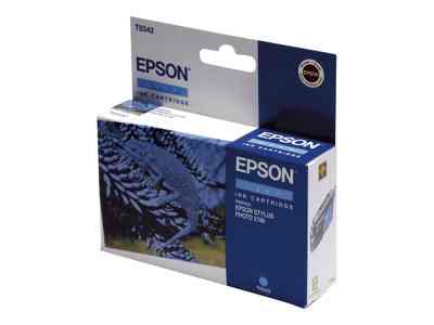 Epson T0342